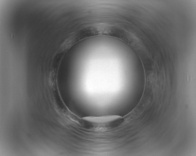 X0000070240218200606091343