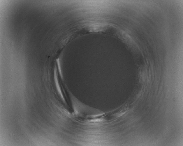 X0000070240219200606091343