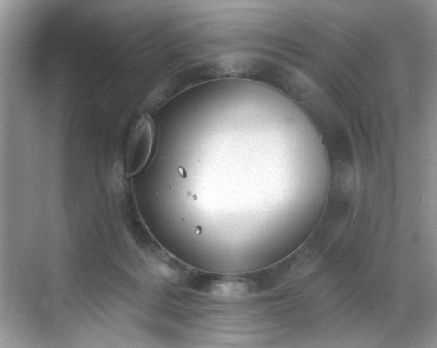 X0000070240220200606091343