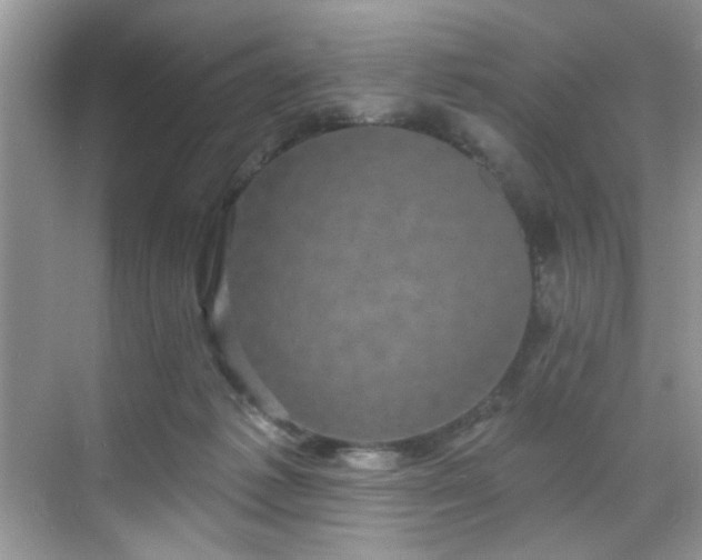 X0000070240221200606091343