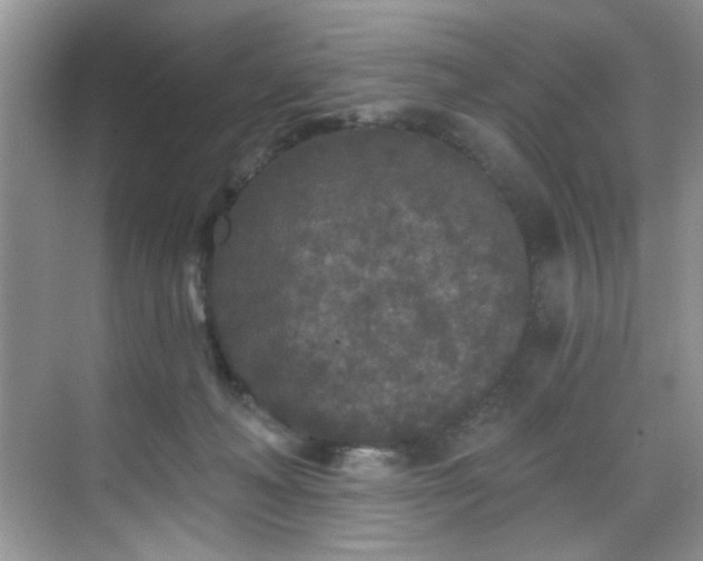 X0000070240222200606091343