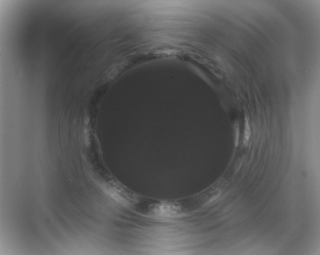 X0000070240223200606091343