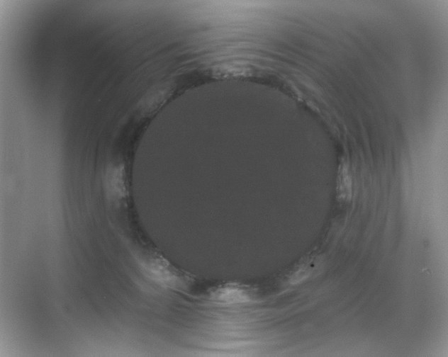 X0000070240224200606091343