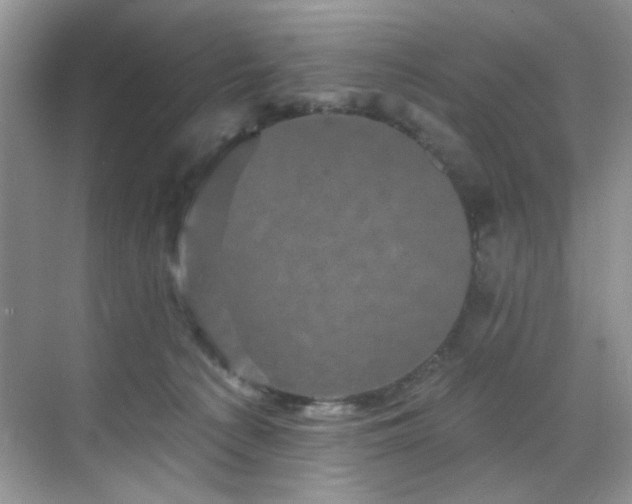 X0000070240225200606091343