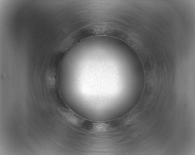 X0000070240226200606091343