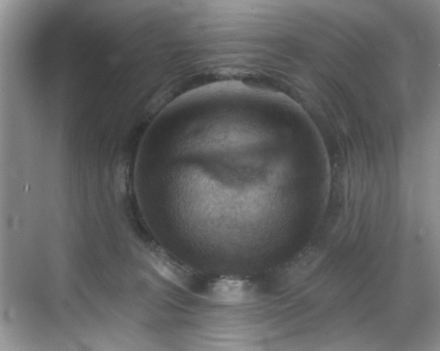 X0000070240227200606091343