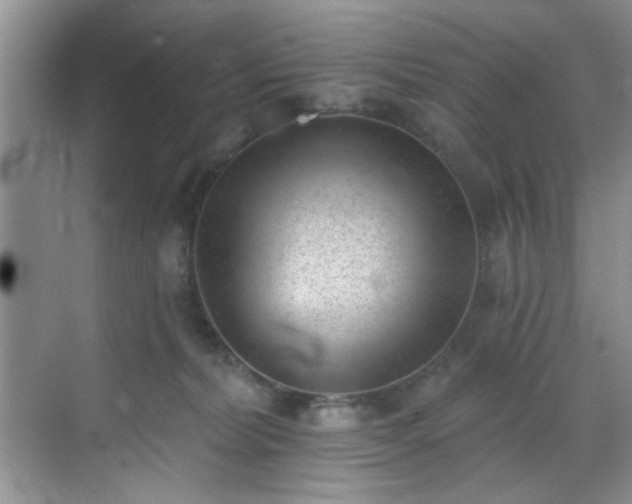 X0000070240228200606091343