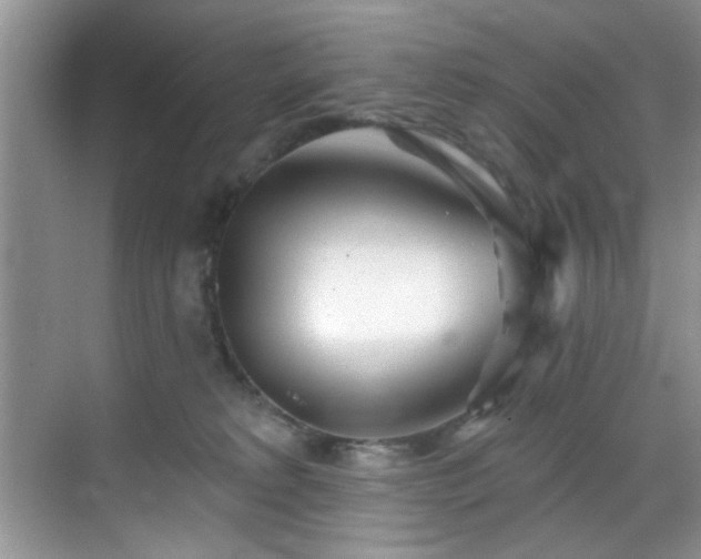 X0000070240229200606091343