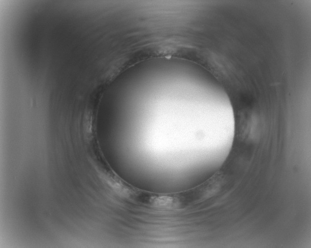 X0000070240230200606091343