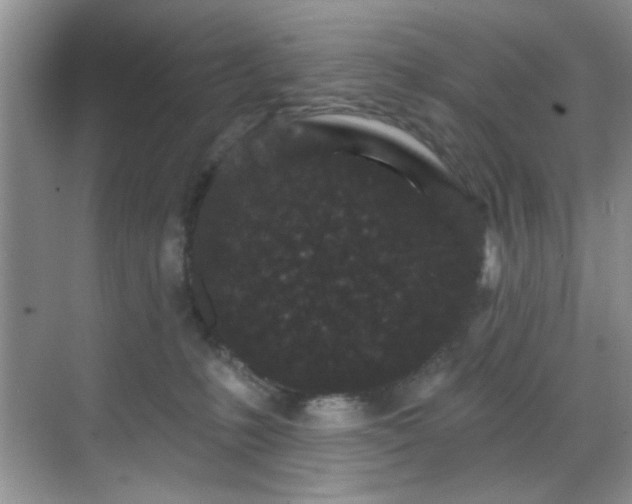 X0000070240231200606091343