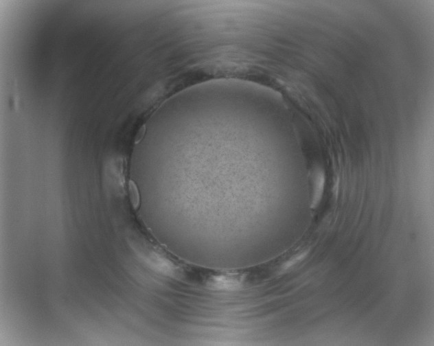 X0000070240232200606091343