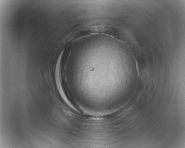 X0000070240233200606091343