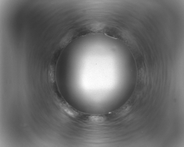 X0000070240234200606091343