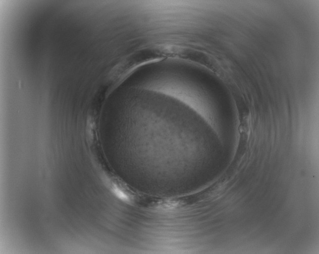 X0000070240235200606091343