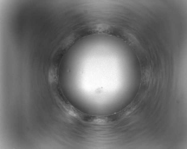 X0000070240236200606091343