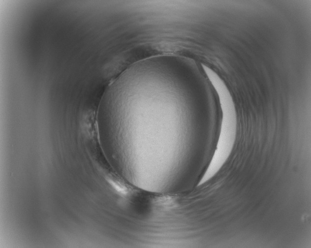 X0000070240237200606091343