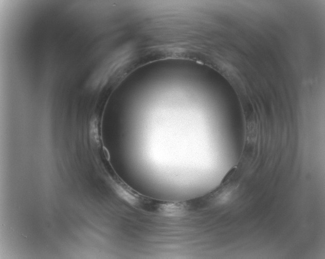 X0000070240238200606091343