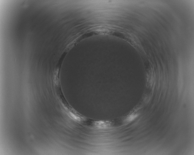 X0000070240239200606091343