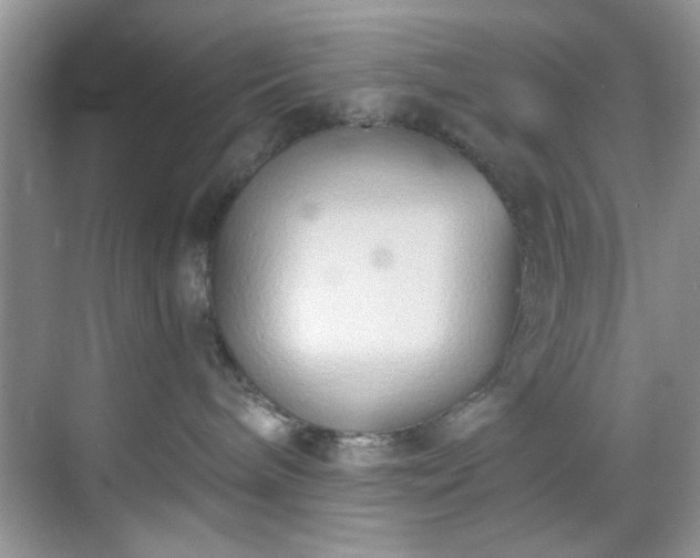 X0000070240240200606091343