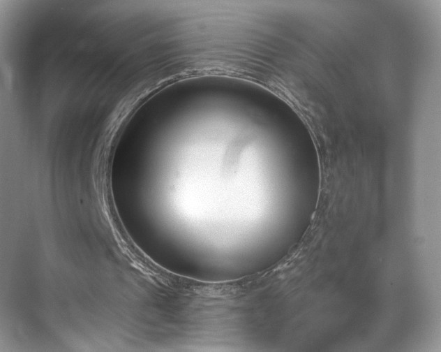 X0000070240241200606091342