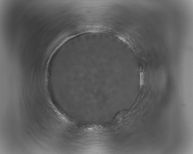 X0000070240243200606091342