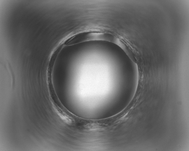 X0000070240244200606091342