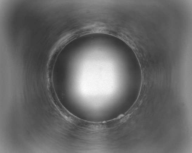 X0000070240245200606091342