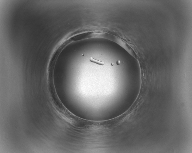 X0000070240246200606091342