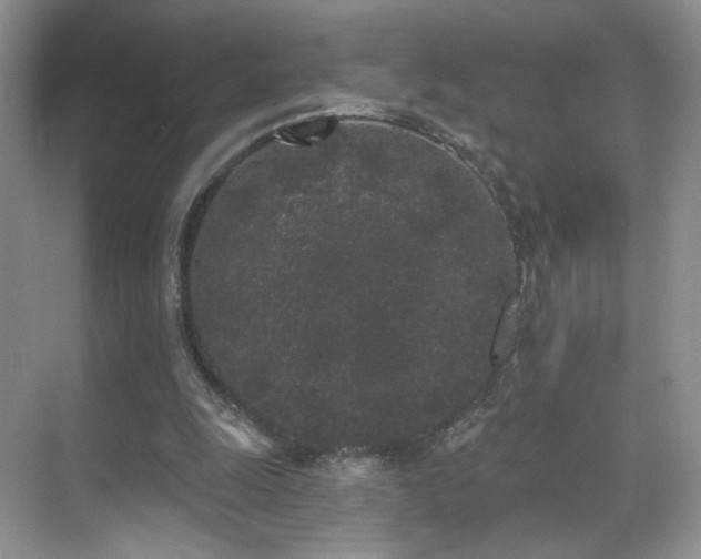 X0000070240247200606091342