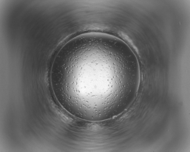 X0000070240249200606091342