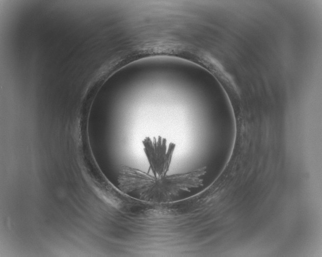 X0000070240250200606091342