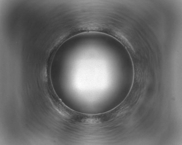 X0000070240251200606091342