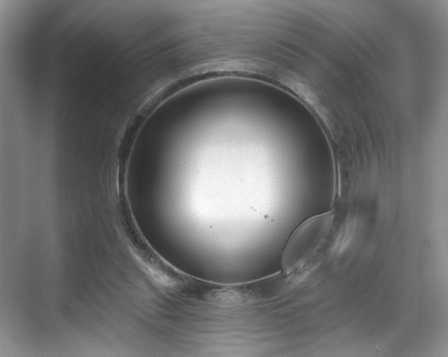 X0000070240253200606091342