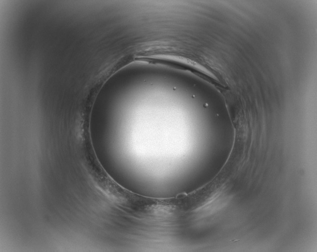 X0000070240255200606091342