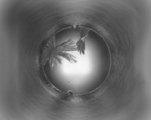 X0000070240258200606091342