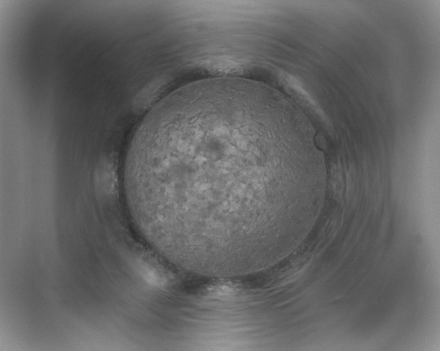 X0000070240259200606091342