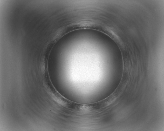 X0000070240261200606091342