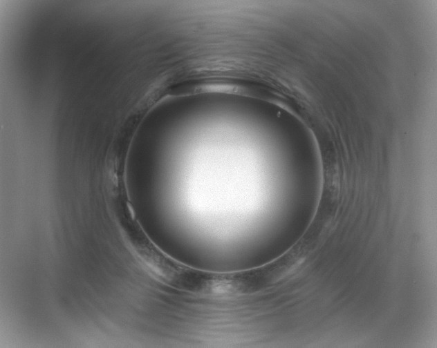 X0000070240264200606091342