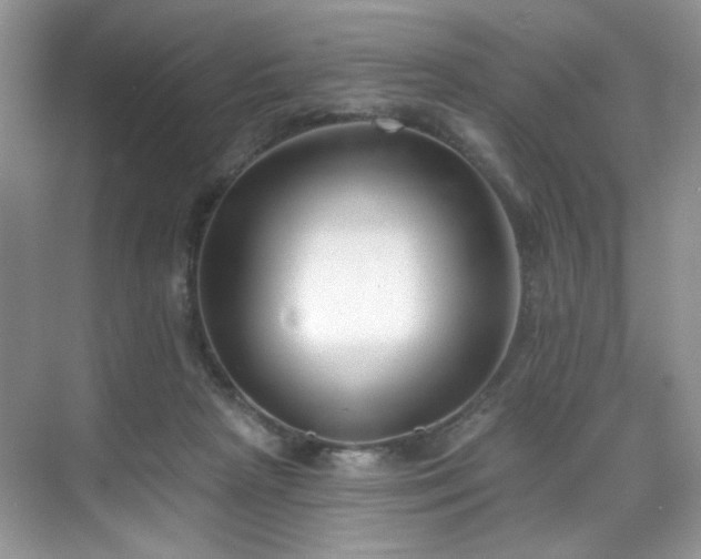 X0000070240265200606091342