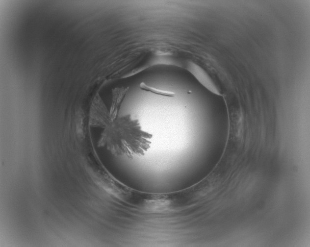 X0000070240266200606091342