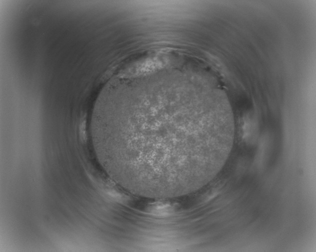 X0000070240267200606091342