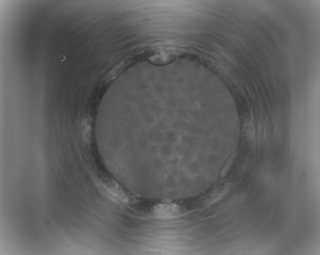 X0000070240271200606091342