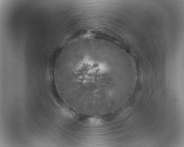 X0000070240272200606091342