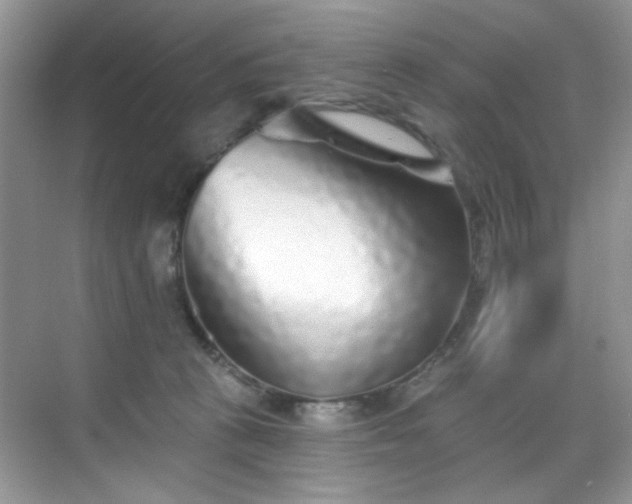 X0000070240273200606091342