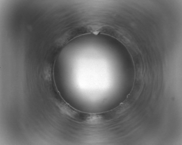 X0000070240274200606091342