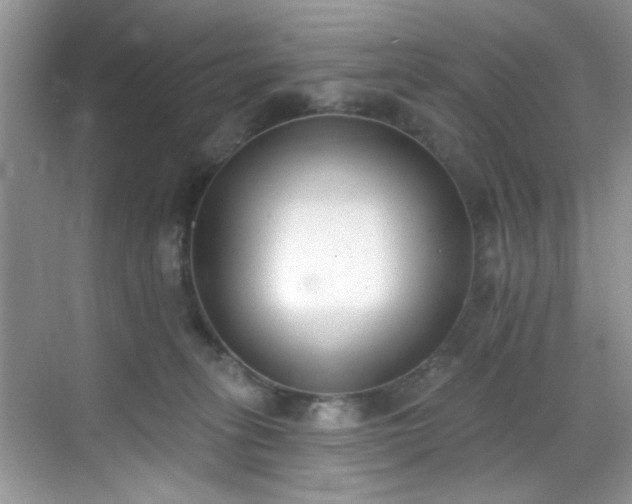 X0000070240275200606091342