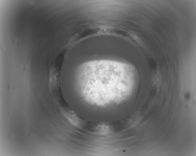 X0000070240276200606091342