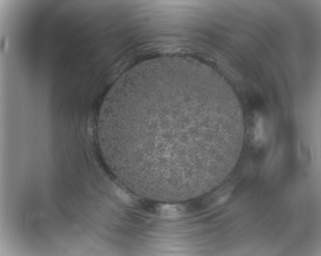 X0000070240277200606091342