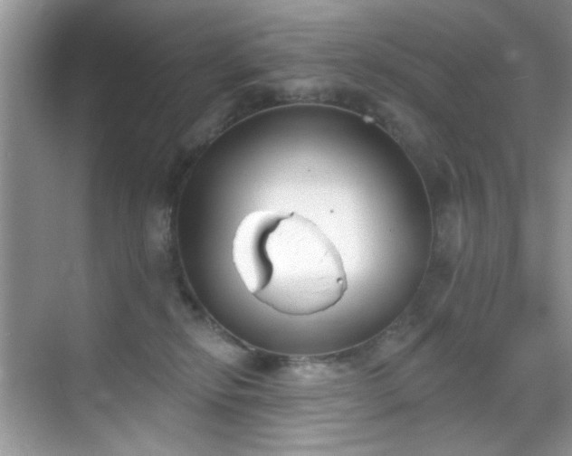 X0000070240278200606091342