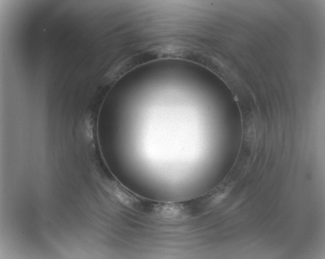 X0000070240282200606091343